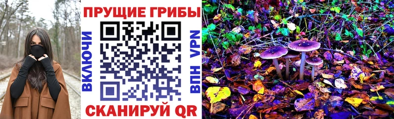 Псилоцибиновые грибы прущие грибы  Североморск 